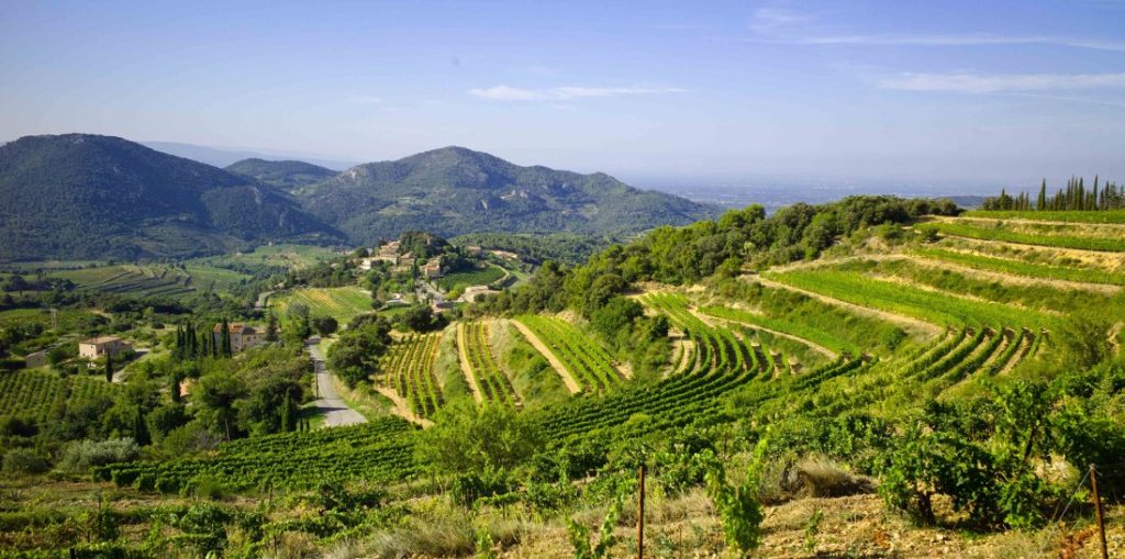 worlds most beautiful vineyards | Provence Vineyards, France