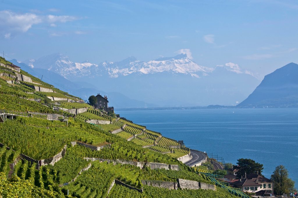 worlds most beautiful vineyards | Louis-Philippe Bovard, Switzerland