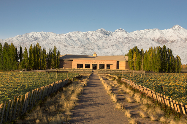 worlds most beautiful vineyards | Mendoza Vineyards
