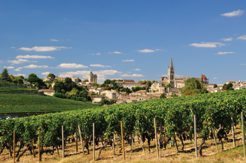 worlds most beautiful vineyards | St. Emilion Vineyard, France 