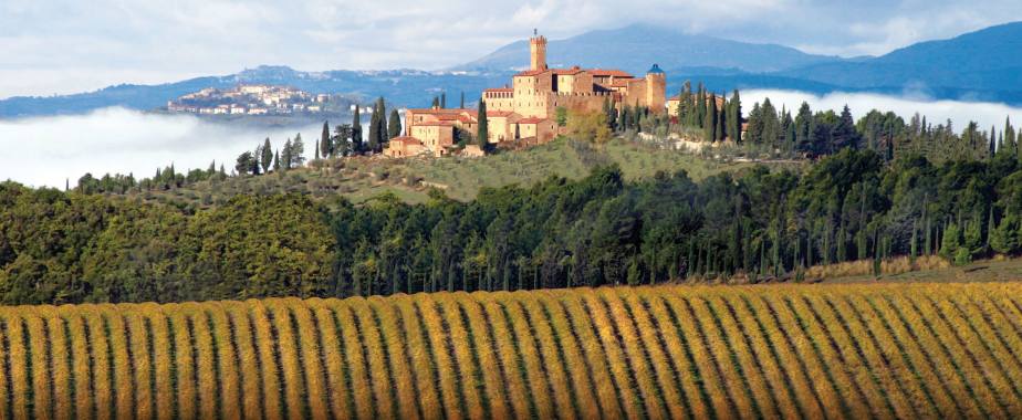 Brunelloa di Montalcino Vineyards, Tuscany