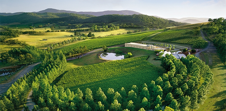 worlds most beautiful vineyards | Yarra Valley Vineyards, Australia